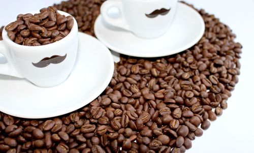 coffee t coffee beans