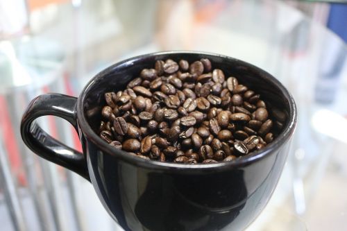 coffee coffee bean coffee mug