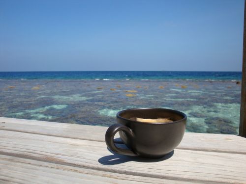 coffee honeymoon maldives