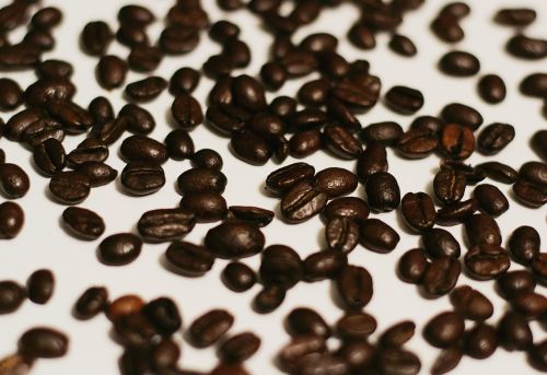 coffee coffee bean coffee beans