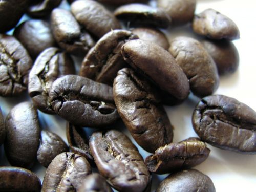 coffee beans roasted