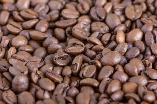 coffee beans brown