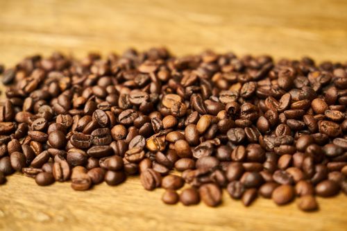 coffee core seed