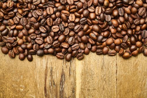 coffee core seed