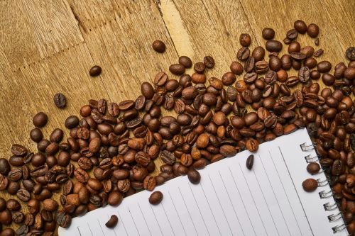 coffee core seed