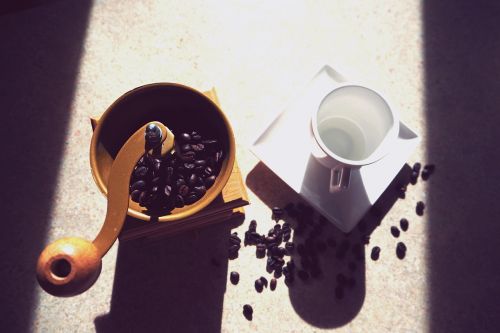 coffee beans seeds
