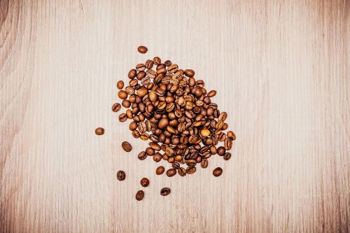 coffee bean seed