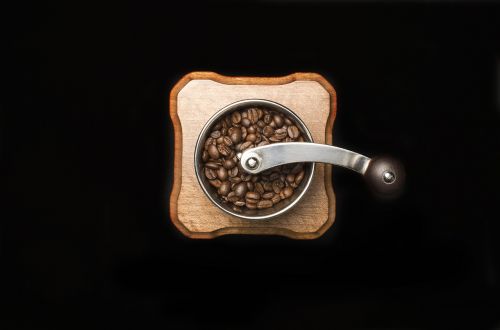 coffee bean seed