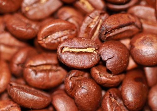 coffee roasted beans