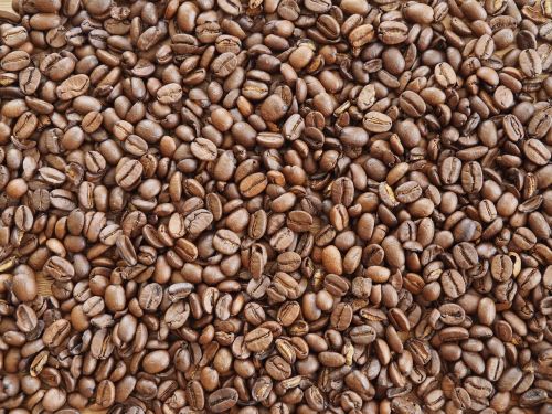 coffee coffee beans brown