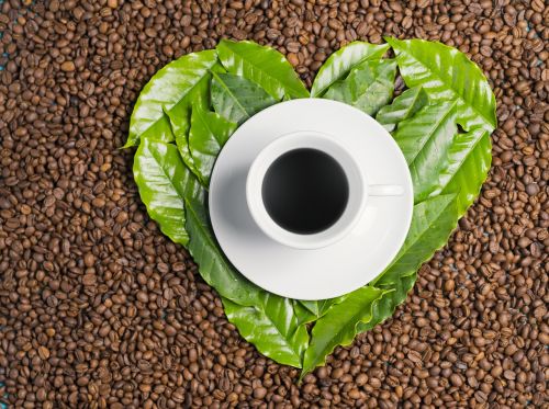 coffee heart coffee bean