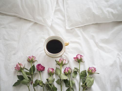 coffee roses bed