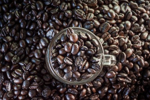 coffee coffee bean the process