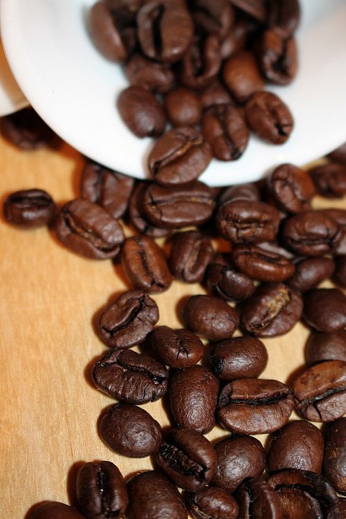 coffee coffee beans coffee cup