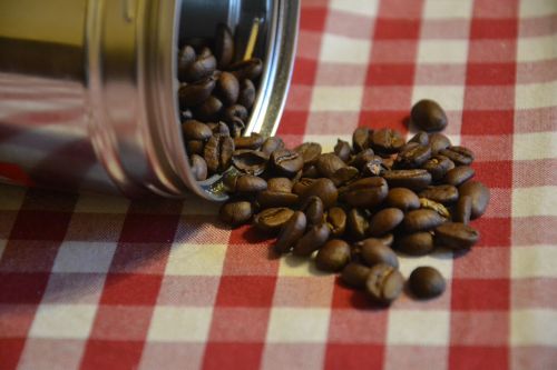 coffee grain coffee in grain