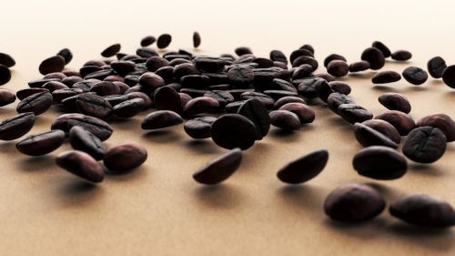 coffee grain coffee beans