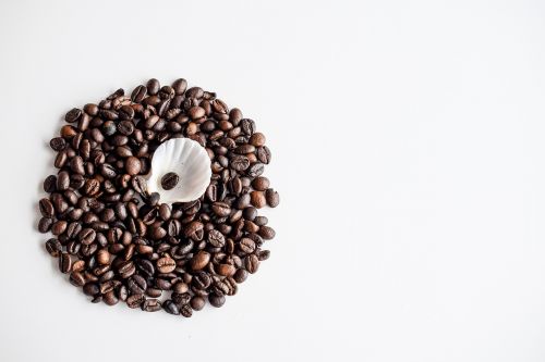 coffee coffee beans morning