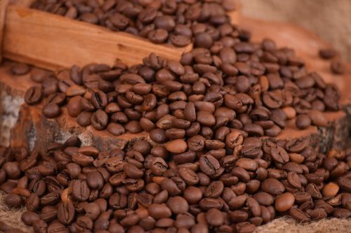 coffee caffeine seed