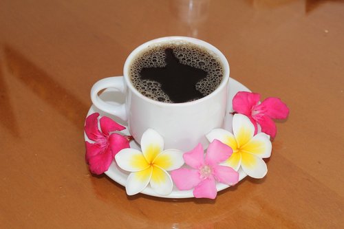 coffee  cup  drink