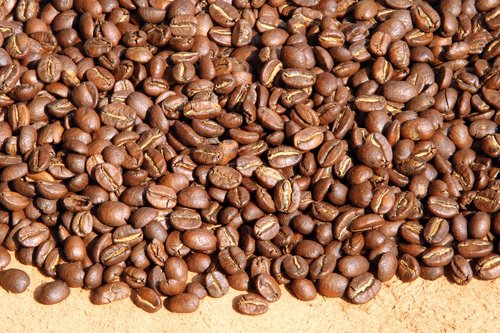 coffee  coffee bean  bean