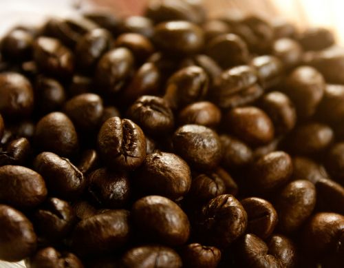 coffee coffee beans roasted