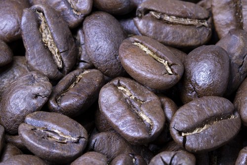 coffee  coffee bean  symbols food