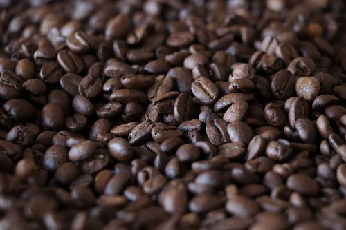 coffee  grain  caffeine