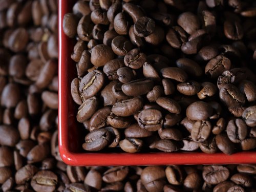 coffee  grain  aroma