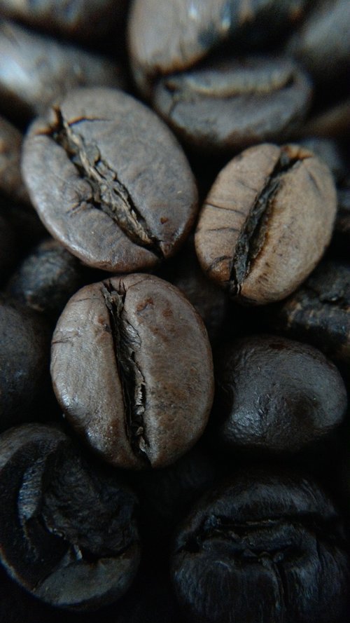 coffee  grains  food