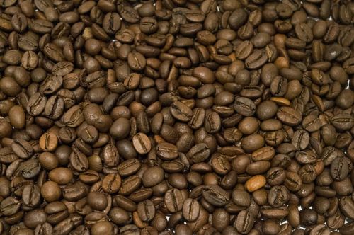 coffee bean brown