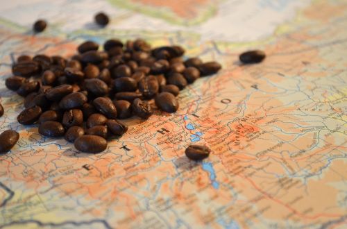 coffee beans ethiopia