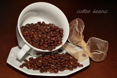 coffee coffee beans roasted