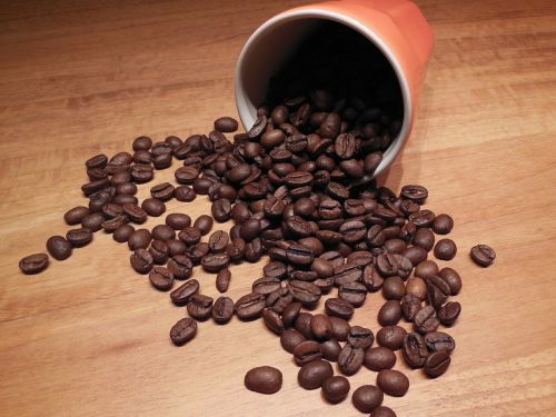 coffee beans cup