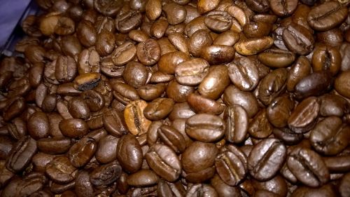 coffee bean coffee beans