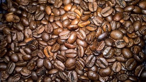 coffee bean coffee beans