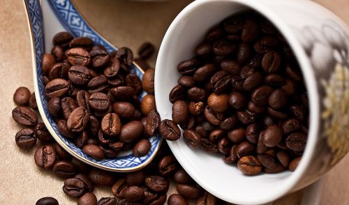 coffee coffee beans grain coffee