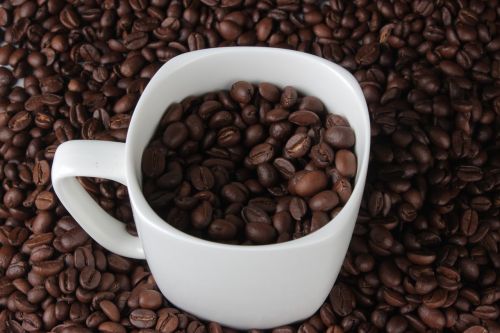 coffee bean mug photography