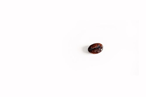 coffee bean  coffee  alone