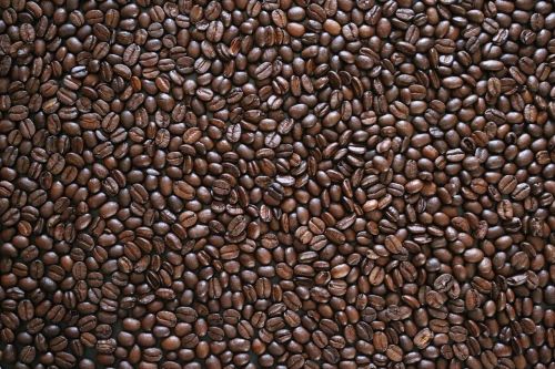 coffee beans texture bean