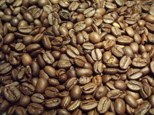 Coffee Beans