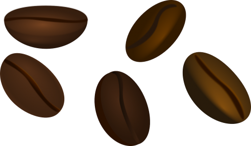 coffee beans beans coffee