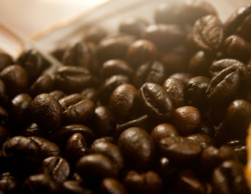 coffee beans coffee caffeine
