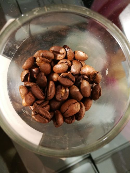 coffee beans beauty focus