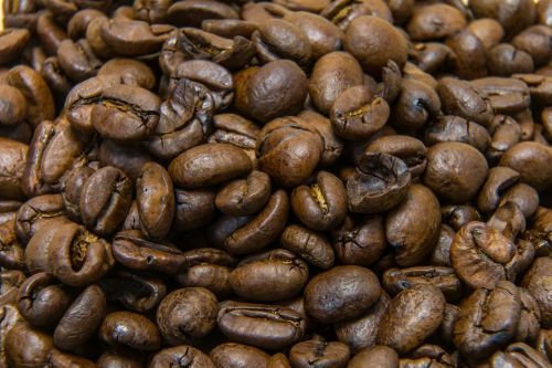 coffee beans coffee brown