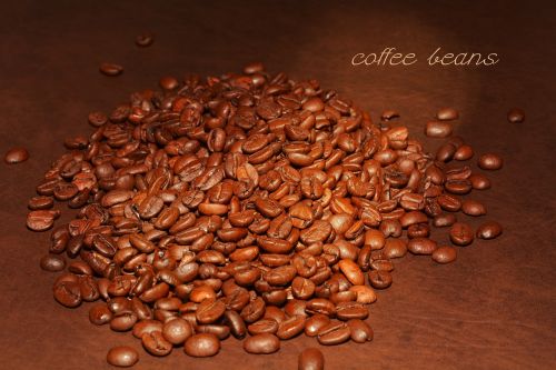 coffee beans roasted coffee
