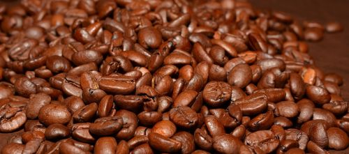 coffee beans coffee roasted