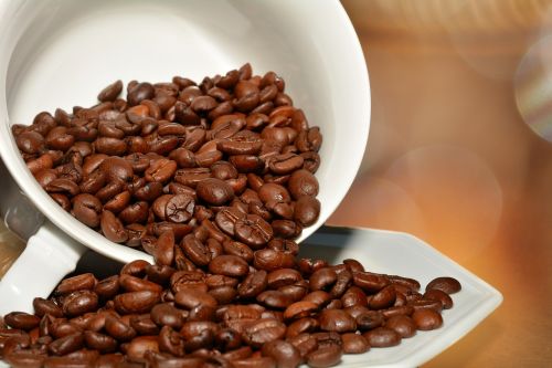 coffee beans roasted bean