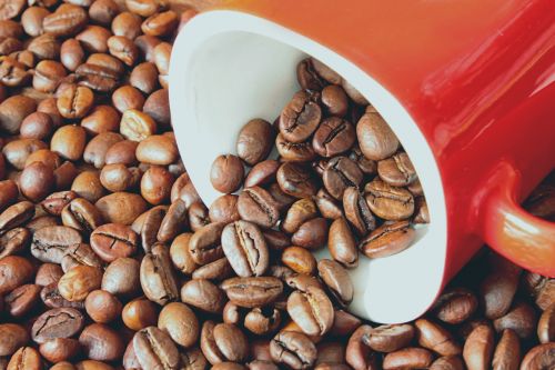 coffee beans coffee grains