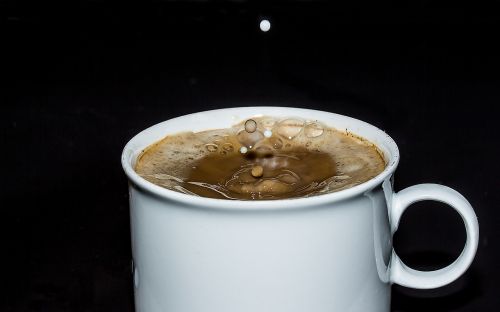 coffee cup cup coffee