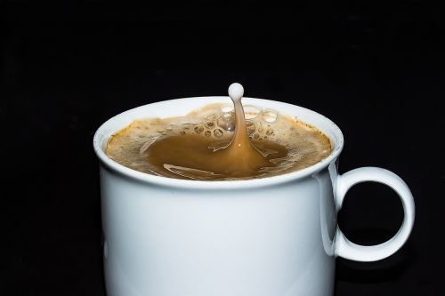 coffee cup cup coffee